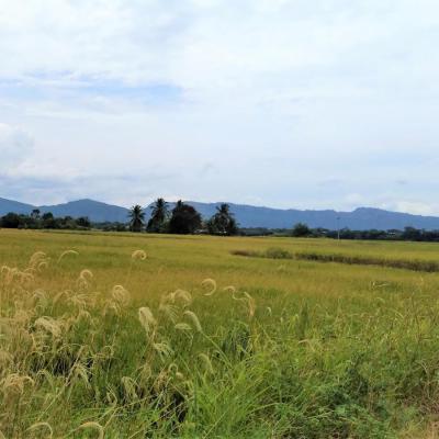 VENTA DE TERRENO DE 60 HAS. EN SAN MARTÍN